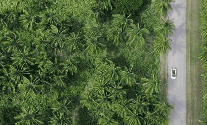 Together for a healthy Planet.